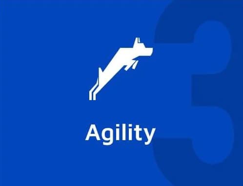 Pillar 3 — Agility