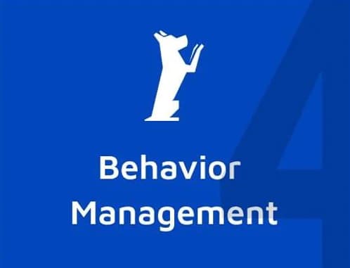 Pillar 4 — Behavior Management