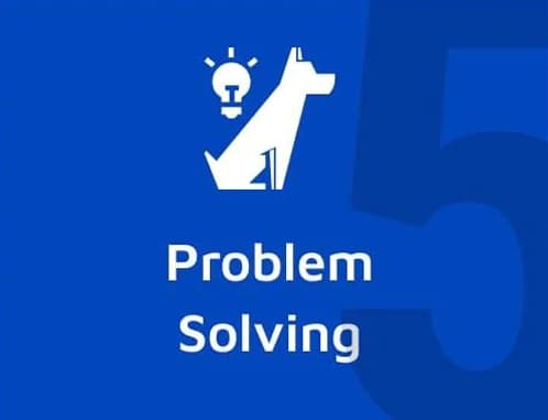 Pillar 5 — Problem-Solving